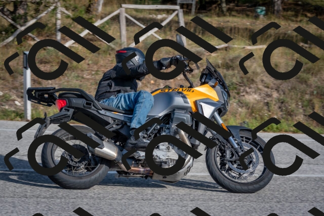 202510191512-DSC_8247_c4_