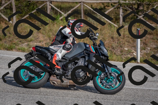 202510191515-DSC_8254_c4_