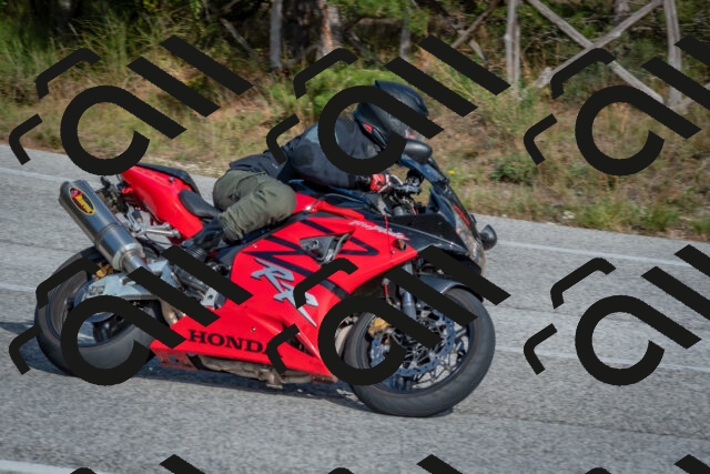 202510191515-DSC_8258_c4_