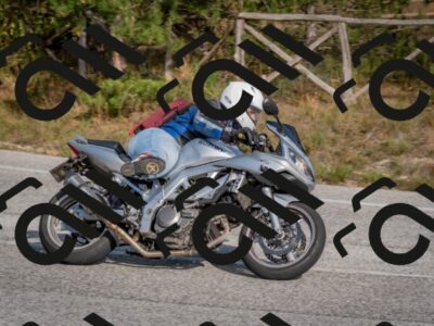 202510191515-DSC_8260_c4_