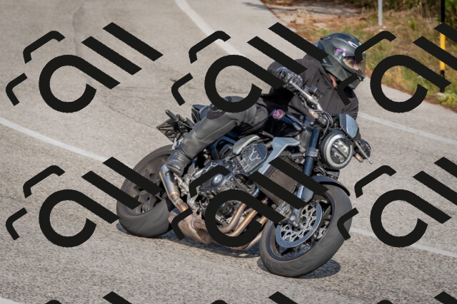 202510191515-DSC_8261_c4_