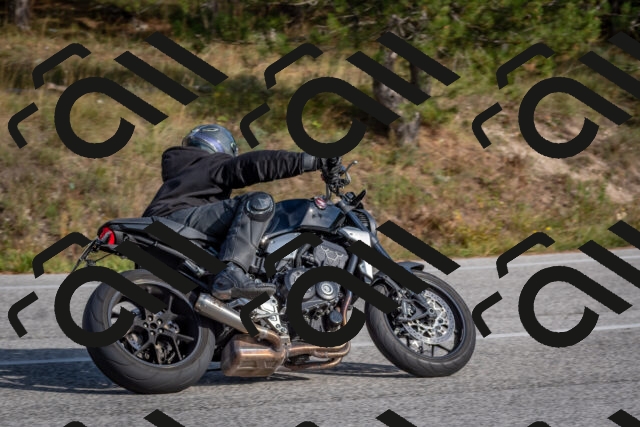 202510191515-DSC_8264_c4_