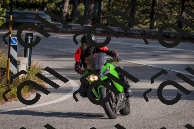 202510191515-DSC_8265_c4_