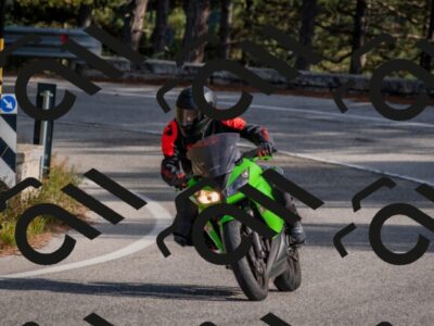 202510191515-DSC_8265_c4_