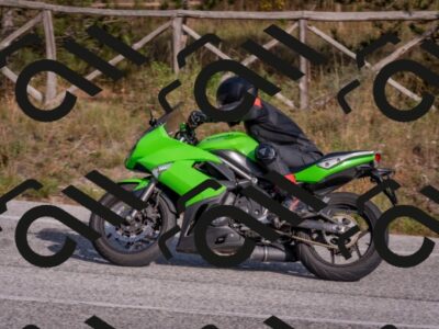 202510191515-DSC_8268_c4_