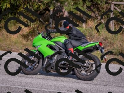 202510191515-DSC_8269_c4_