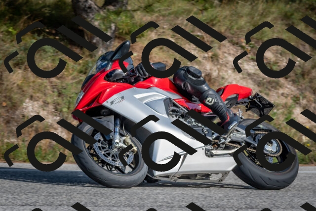 202510191516-DSC_8272_c4_