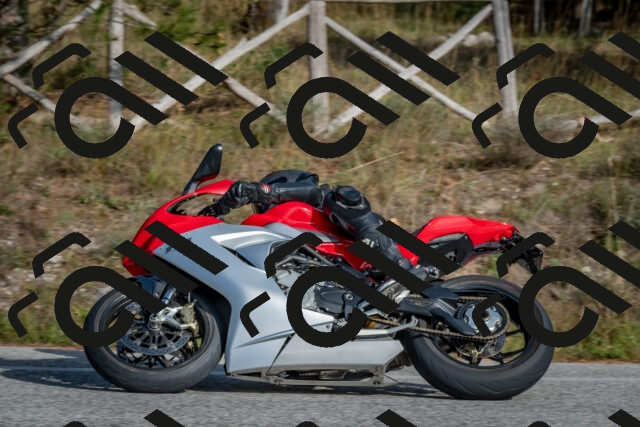 202510191516-DSC_8273_c4_