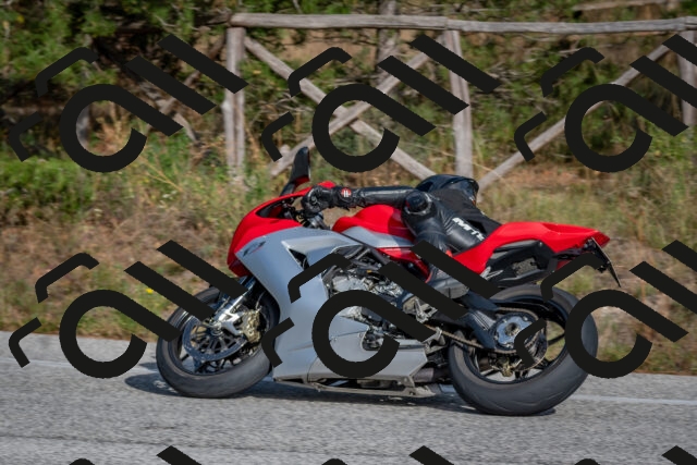 202510191516-DSC_8274_c4_