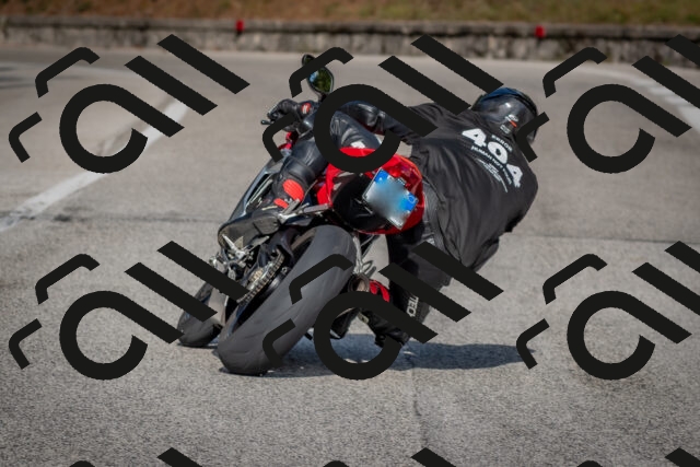 202510191516-DSC_8276_c4_