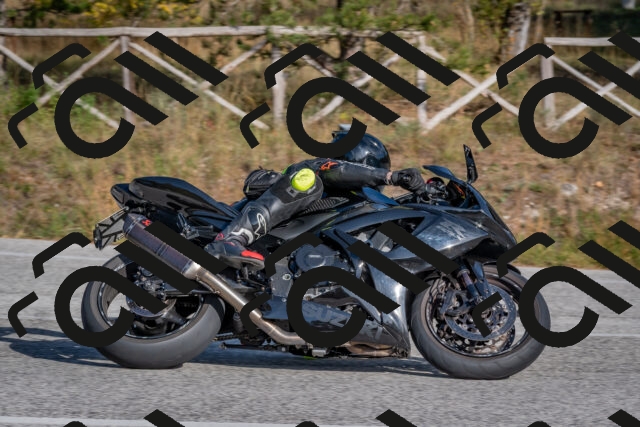 202510191526-DSC_8279_c4_