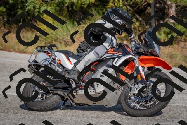 202510191526-DSC_8285_c4_