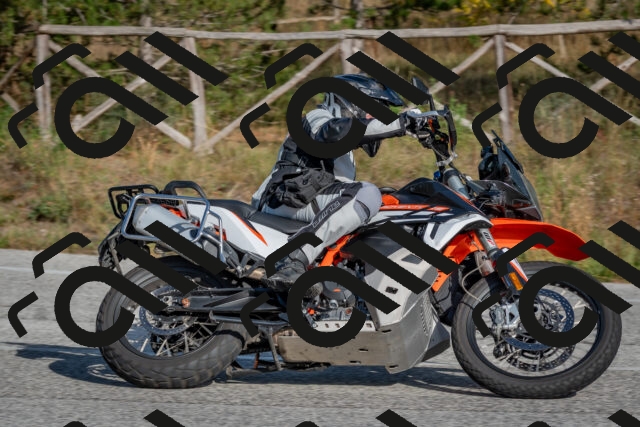 202510191526-DSC_8286_c4_