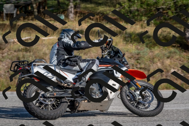 202510191527-DSC_8287_c4_