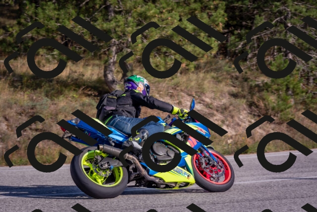 202510191528-DSC_8304_c4_