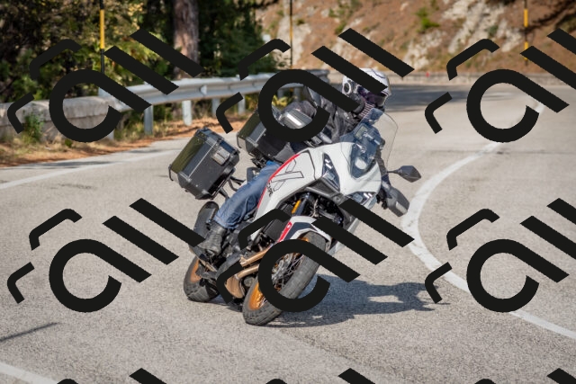 202510191528-DSC_8305_c4_