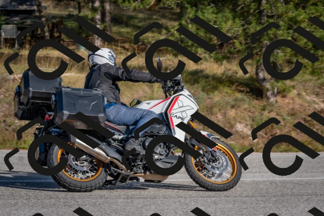 202510191528-DSC_8308_c4_