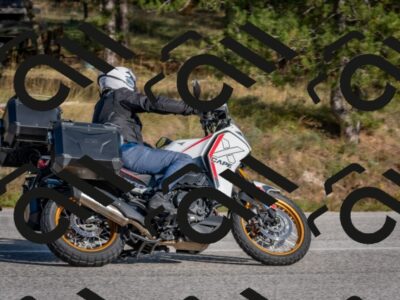 202510191528-DSC_8308_c4_