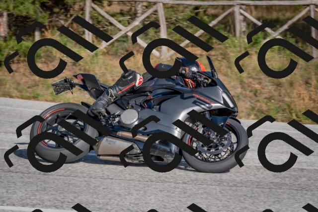 202510191531-DSC_8310_c4_