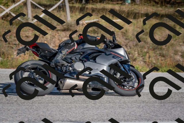 202510191531-DSC_8311_c4_