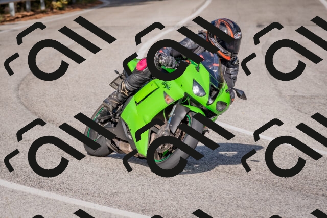 202510191531-DSC_8313_c4_