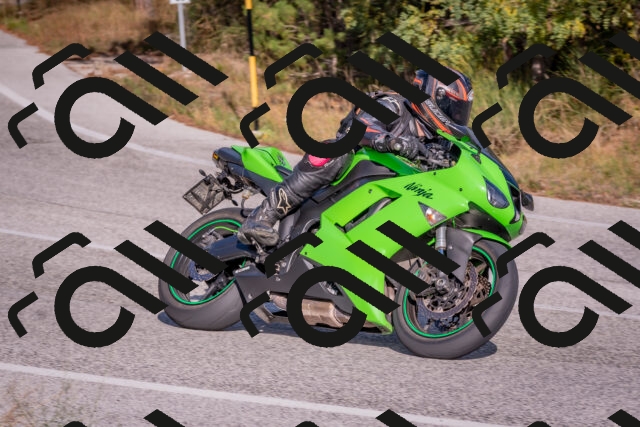 202510191531-DSC_8314_c4_