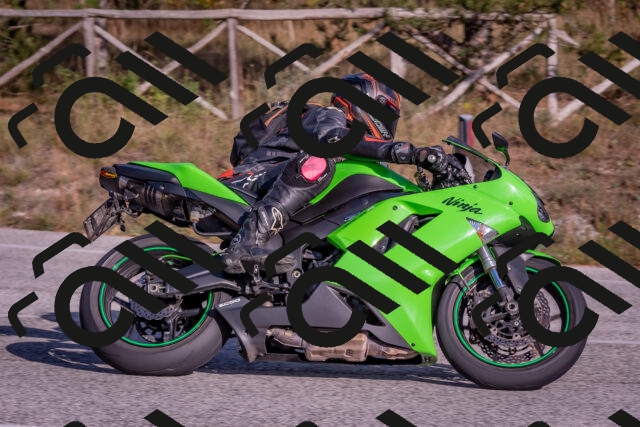 202510191531-DSC_8315_c4_