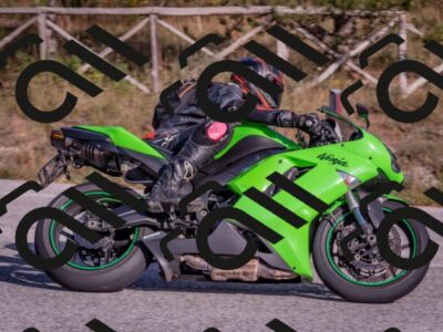 202510191531-DSC_8315_c4_