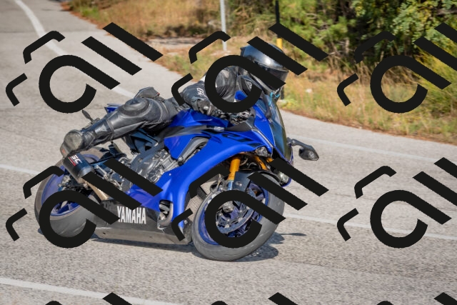 202510191531-DSC_8318_c4_