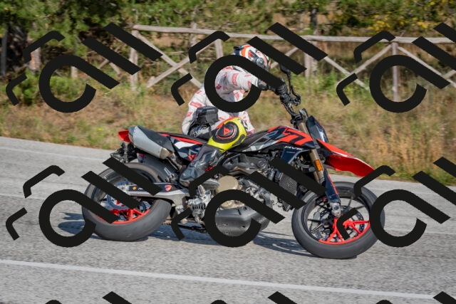 202510191531-DSC_8322_c4_