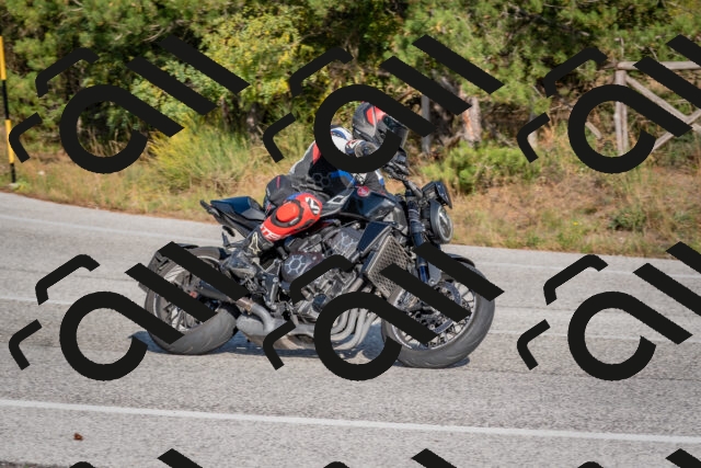 202510191531-DSC_8324_c4_