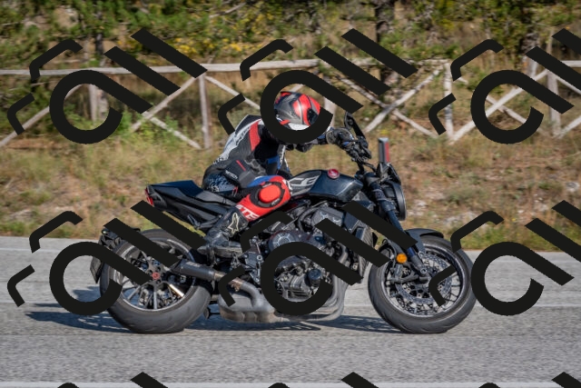 202510191531-DSC_8325_c4_