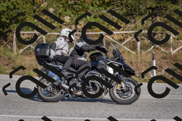 202510191533-DSC_8328_c4_