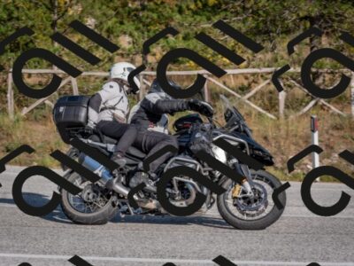 202510191533-DSC_8328_c4_