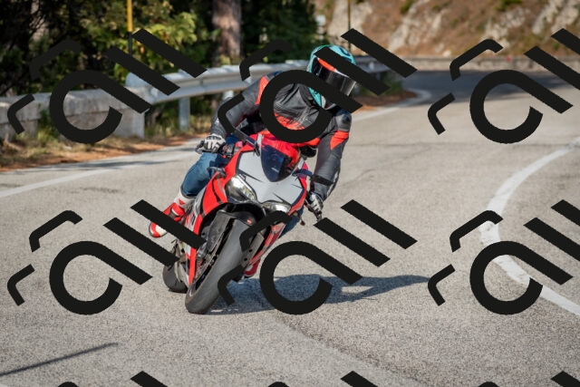 202510191533-DSC_8330_c4_