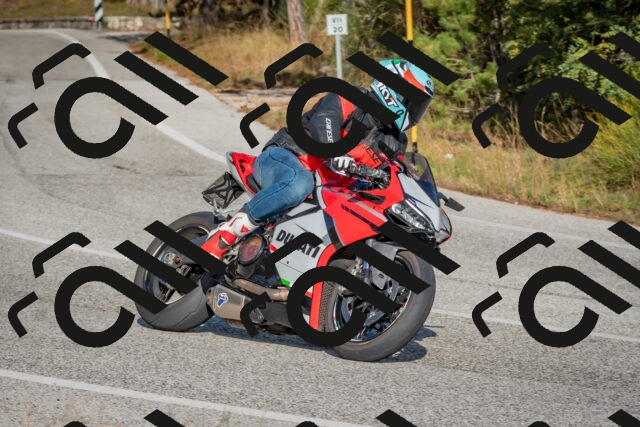 202510191533-DSC_8331_c4_