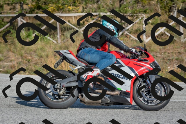 202510191533-DSC_8332_c4_