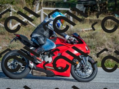 202510191533-DSC_8336_c4_