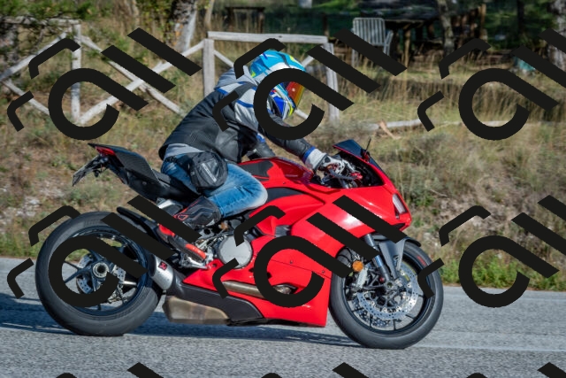 202510191533-DSC_8336_c4_