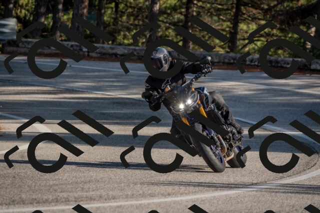 202510191534-DSC_8338_c4_