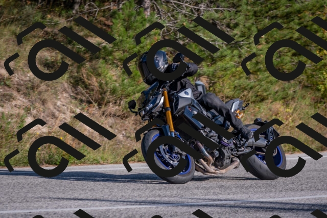 202510191534-DSC_8339_c4_