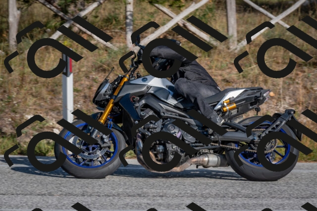 202510191534-DSC_8340_c4_