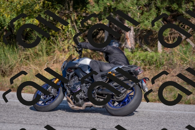 202510191534-DSC_8341_c4_