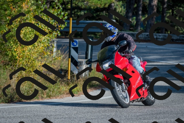 202510191534-DSC_8342_c4_