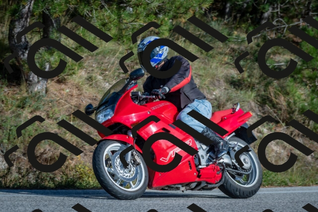 202510191534-DSC_8343_c4_