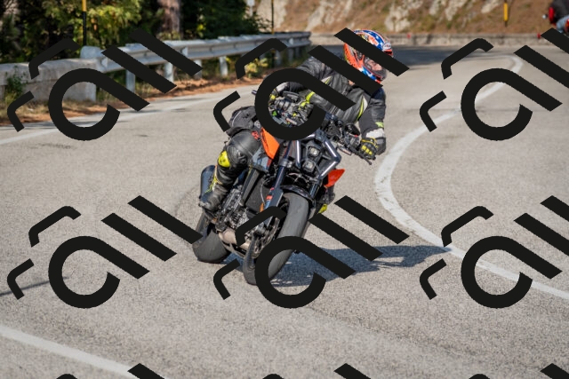 202510191534-DSC_8347_c4_