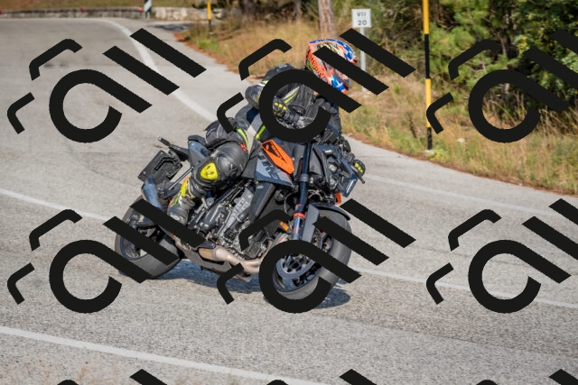 202510191534-DSC_8348_c4_