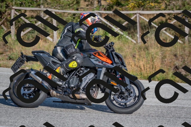 202510191534-DSC_8349_c4_