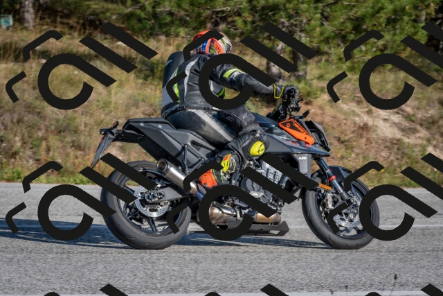 202510191534-DSC_8350_c4_