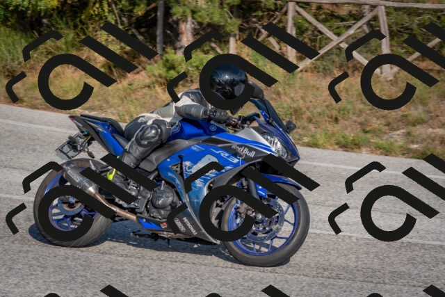 202510191535-DSC_8353_c4_